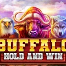 Игровой автомат онлайн Buffalo Hold & Win